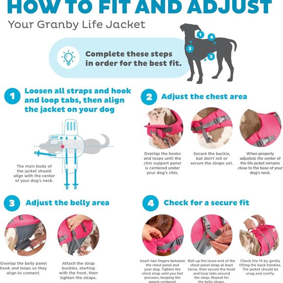 Outward Hound Dog life jacket - Picture 7 of 8